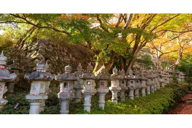 ​​箕面市で葬儀社を比較するときの判断ポイント｜安心して選ぶために大切な視点